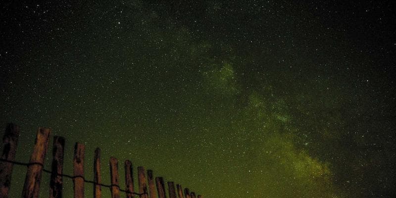 Interview: Le directeur du Festival de Jazz de Paris