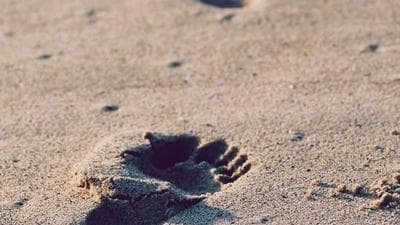 Comment optimiser la billetterie de votre festival